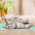 products Cat lce pad Cat cooling pad